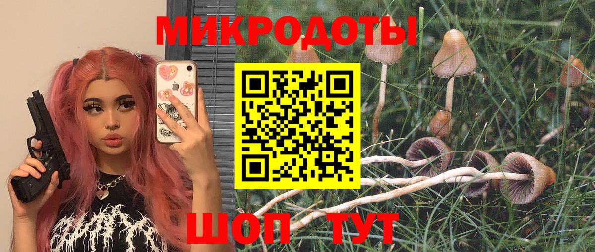 Каменск-Уральский  Канабис  ЭКСТАЗИ  Гашиш  МЕФ   Вход с VPN  ТГК  Alpha PVP СОЛЬ   Cocaine 