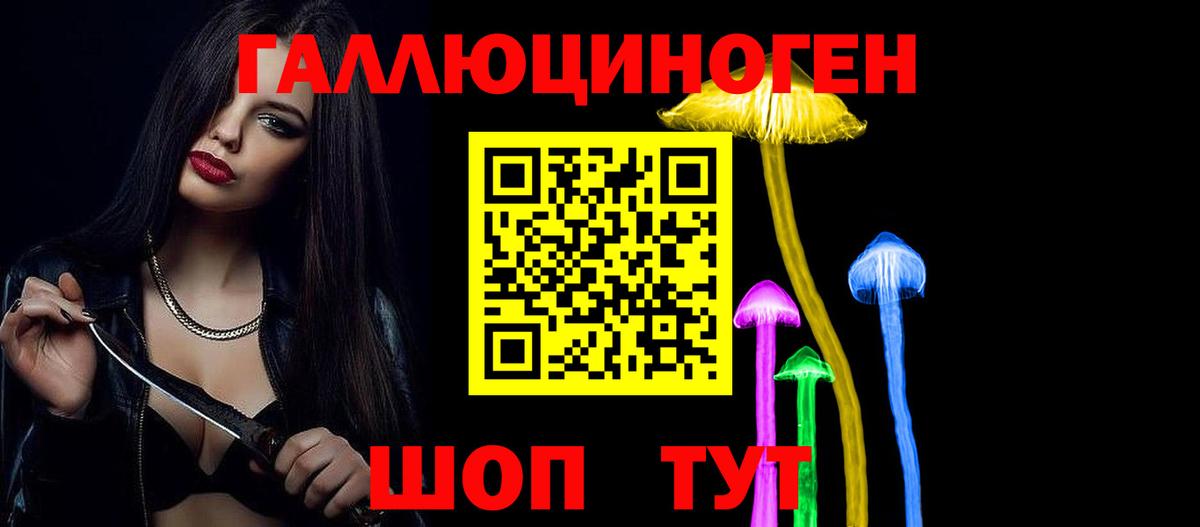 Псилоцибиновые грибы Psilocybe  продажа наркотиков  Каменск-Уральский  Вход с VPN 