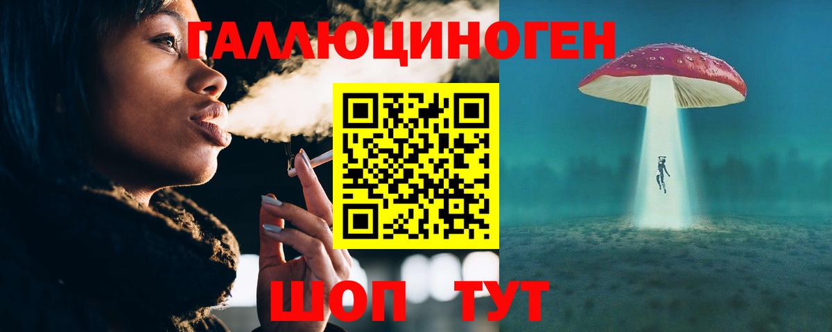 Псилоцибиновые грибы Psilocybe Каменск-Уральский